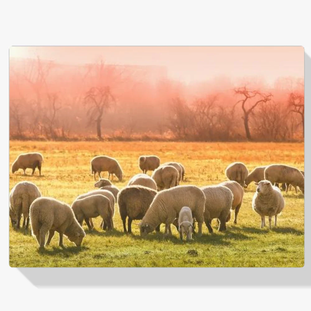 Pintura Diamante - Ovejas en el prado