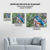 Pintura Diamante - Pájaro azul