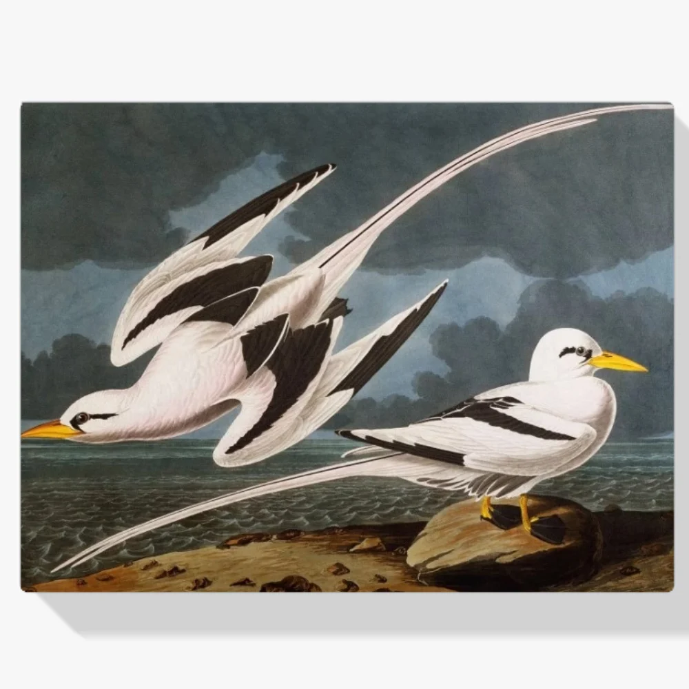 Pintura Diamante - Pájaro tropical