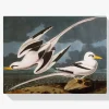 Pintura Diamante - Pájaro tropical
