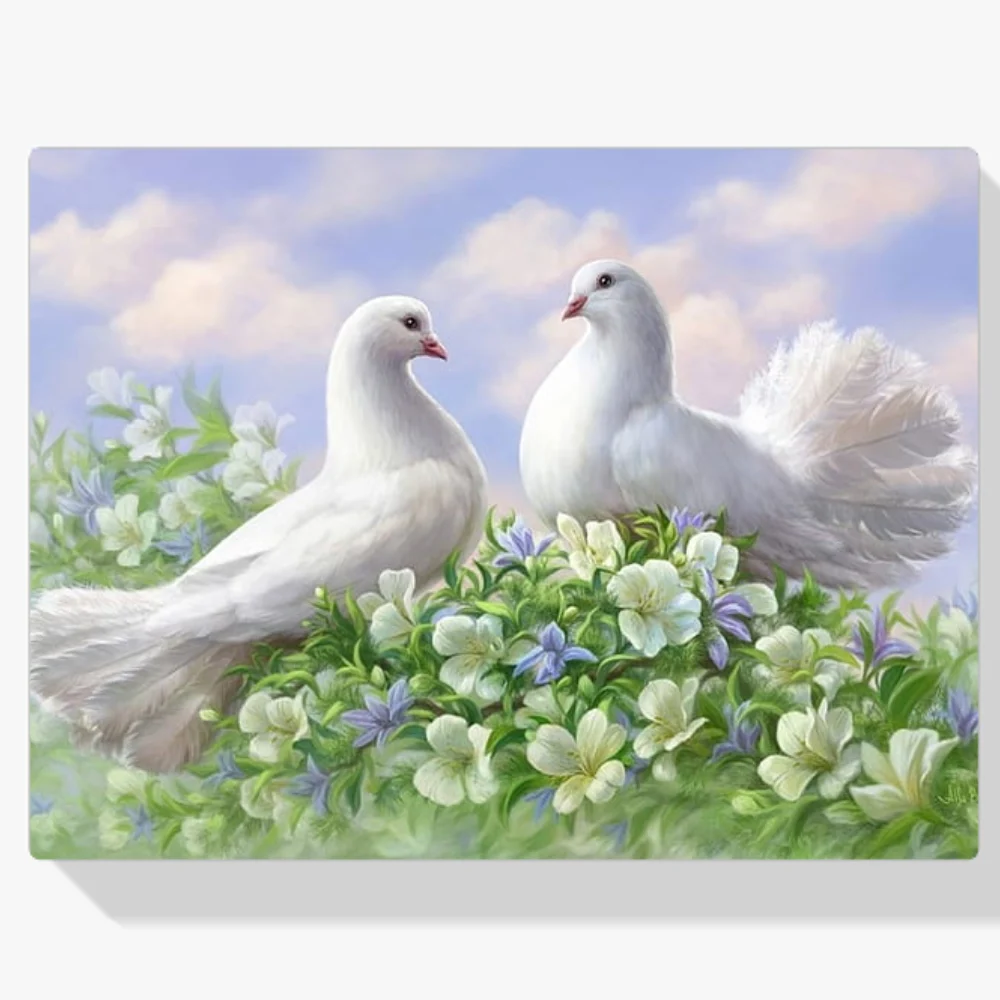 Pintura Diamante - Palomas blancas