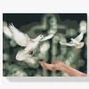 Pintura Diamante - Palomas de la paz