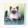 Pintura Diamante - Gatito