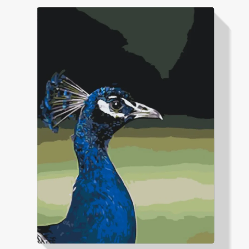 Pintura Diamante - Pávice