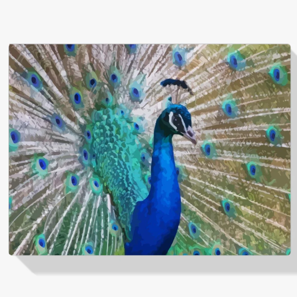 Pintura Diamante - Pavo real de cerca