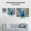 Pintura Diamante - Pavo real de cerca
