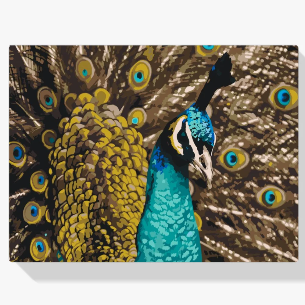 Pintura Diamante - Pavo real orgulloso