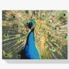 Pintura Diamante - Pavo reales