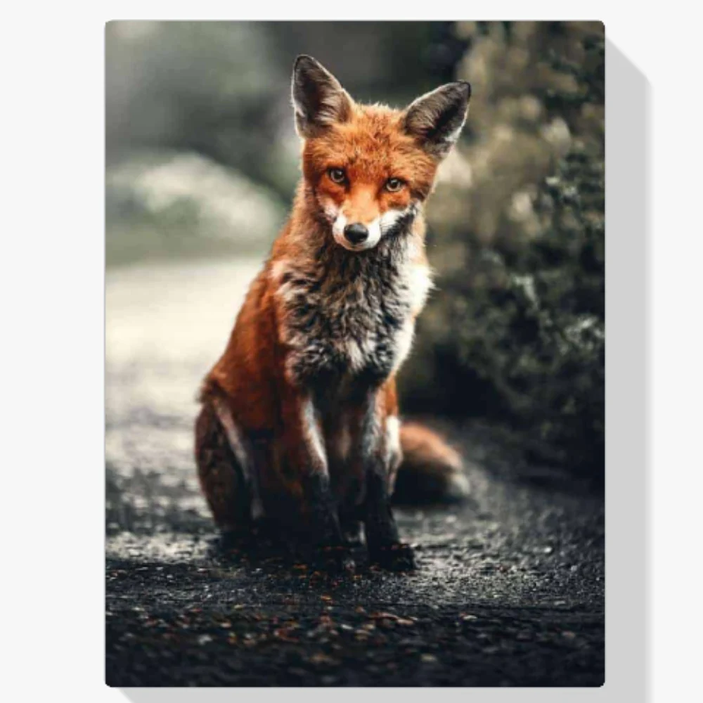 Pintura Diamante - Pequeño zorro