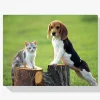Pintura Diamante - Perro con gato