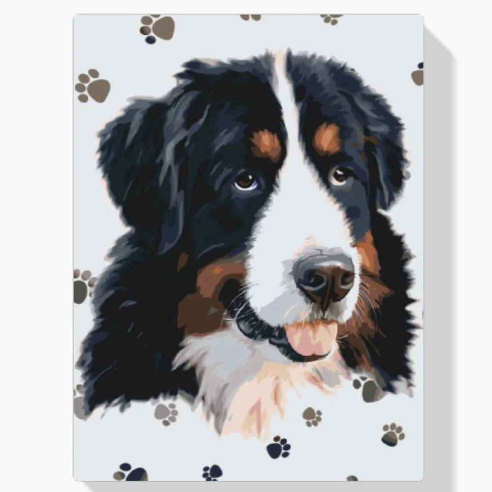 Pintura Diamante - Perro con patas alrededor
