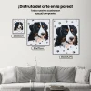 Pintura Diamante - Perro con patas alrededor