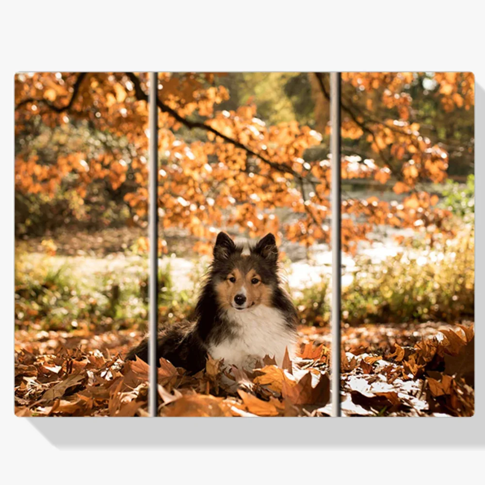 Pintura Diamante - Perro en el bosque 3 paneles