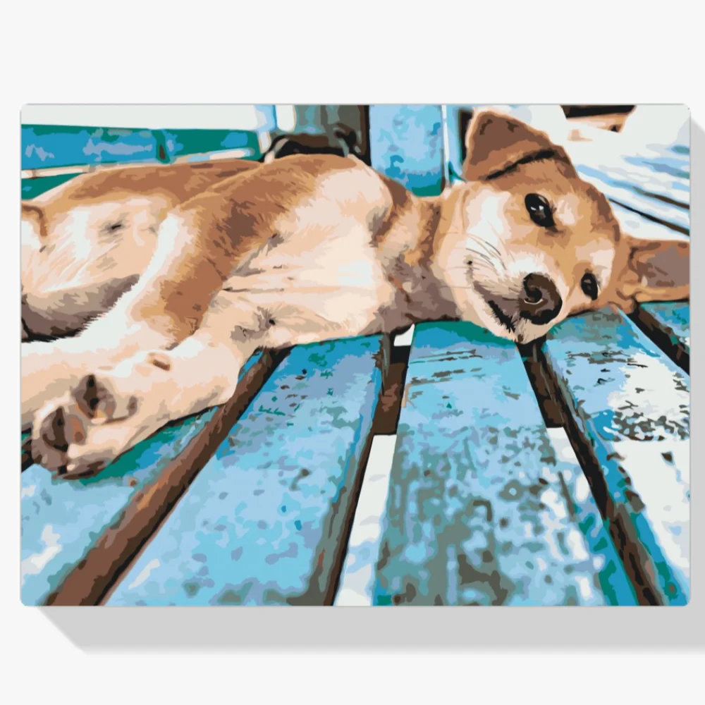 Pintura Diamante - Perro perezoso