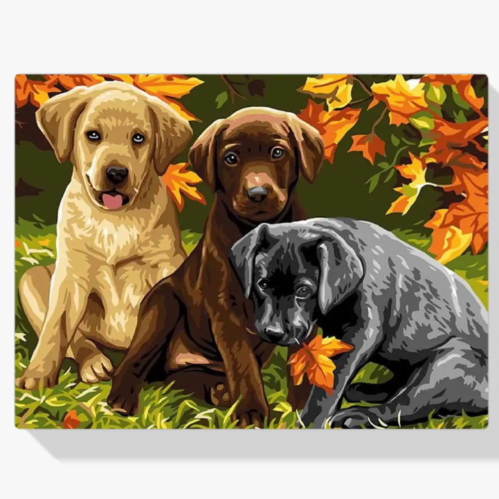 Pintura Diamante - Perros hermosos