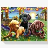 Pintura Diamante - Perros jugando