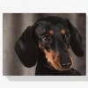 Pintura Diamante - Perros salchicha pequeños