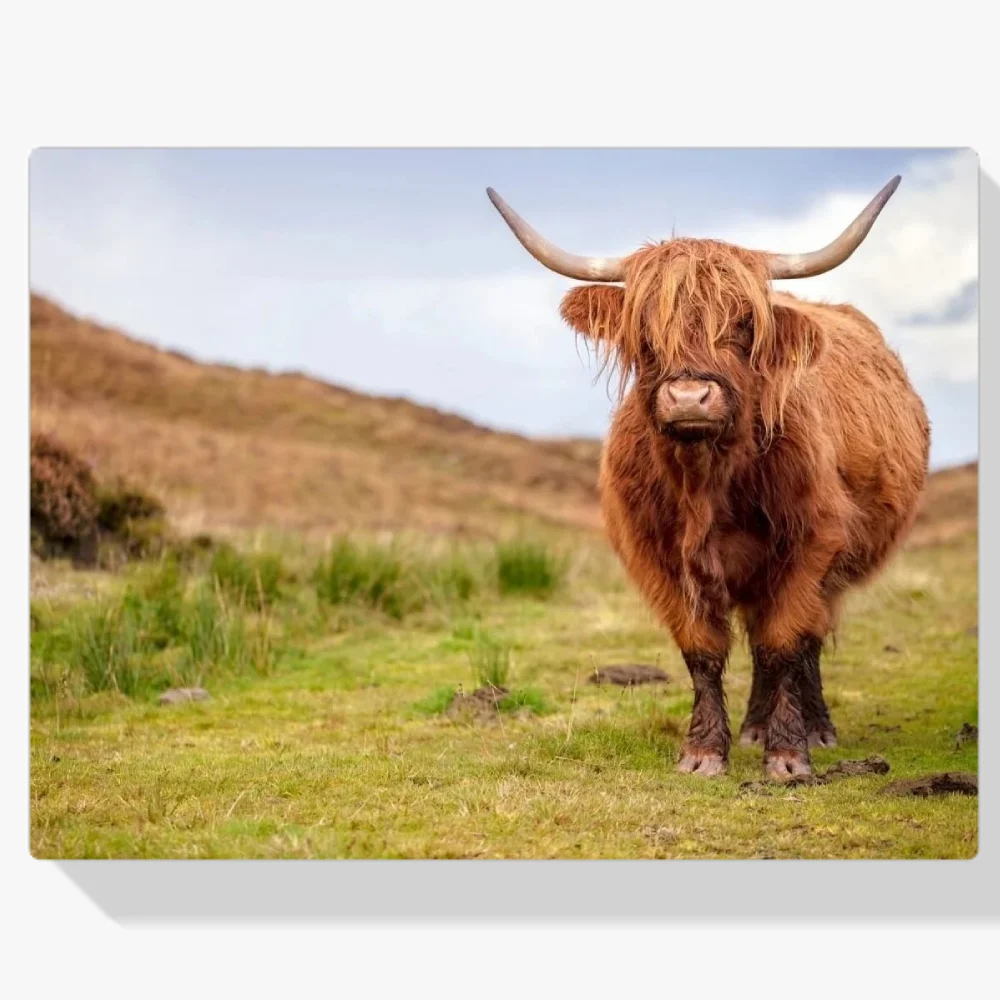 Pintura Diamante - Poderoso montañés escocés en la isla de Skye