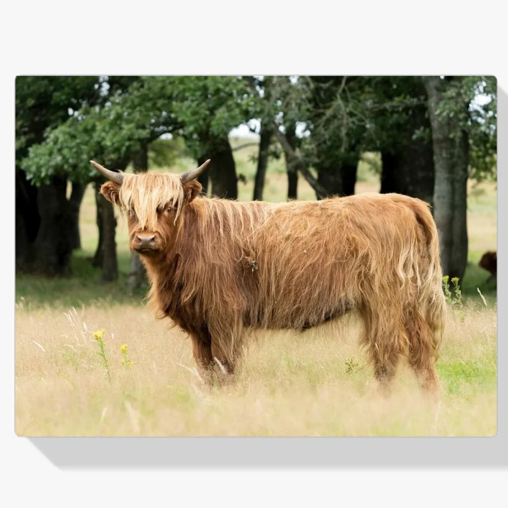 Pintura Diamante - Poderoso montañés escocés en un paisaje de naturaleza