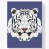 Pintura Diamante - Polígono del tigre blanco