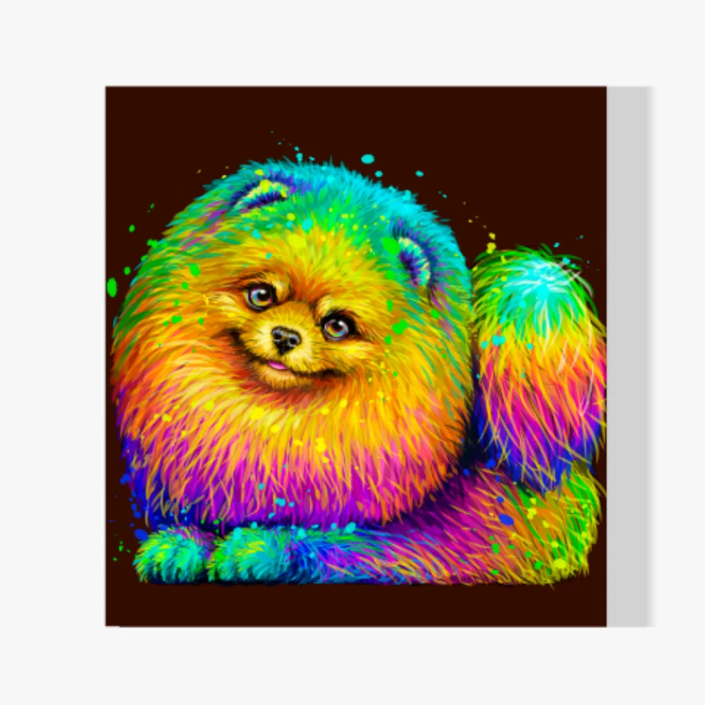 Pintura Diamante - Pomerania de colores