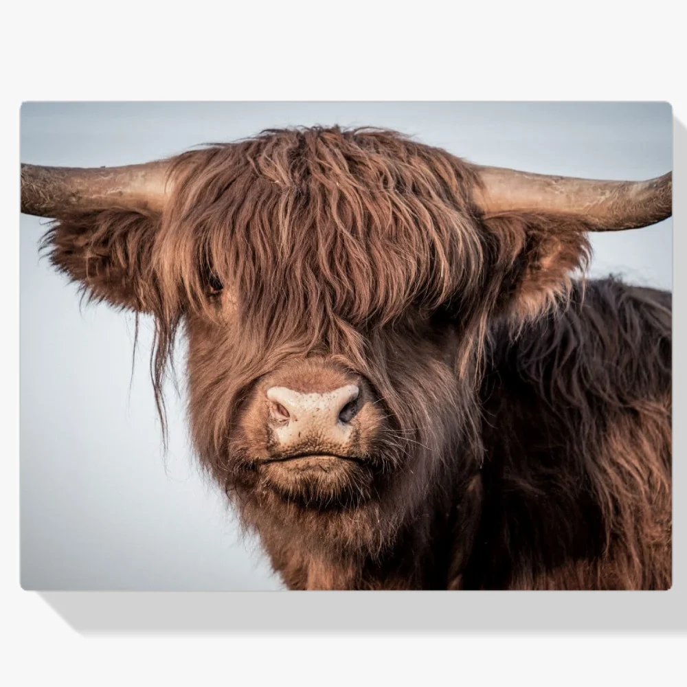 Pintura Diamante - Primer plano de un montañés escocés