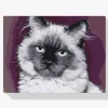 Pintura Diamante - Retrato de un gato