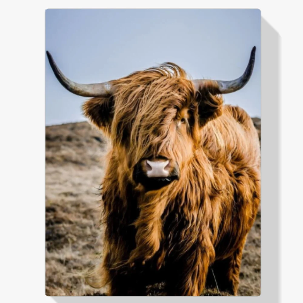 Pintura Diamante - Retrato del montañés escocés especial