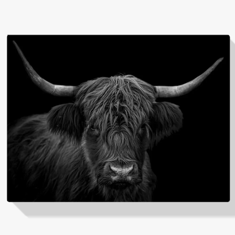 Pintura Diamante - Retrato en blanco y negro de un montañés escocés peludo