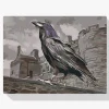 Pintura Diamante - Rey Cuervo