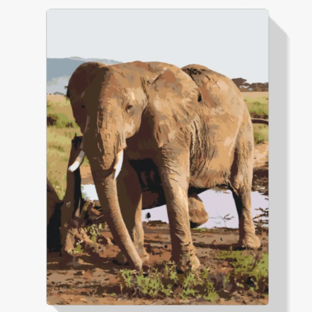 Pintura Diamante - Safari - Elefante