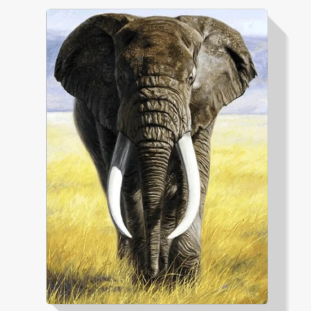 Pintura Diamante - Safari Elefante con colmillos