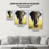 Pintura Diamante - Safari Elefante con colmillos