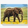 Pintura Diamante - Safari elefante