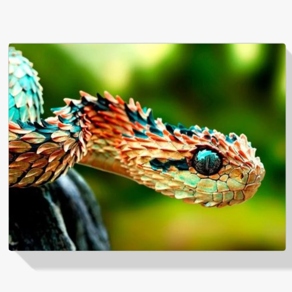 Pintura Diamante - Serpiente