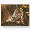 Pintura Diamante - Tigre Mentiroso