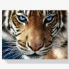 Pintura Diamante - Tigre de ojos azules