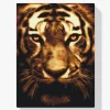 Pintura Diamante - Tigre en la luz