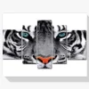 Pintura Diamante - Tigre focalizado 5 paneles
