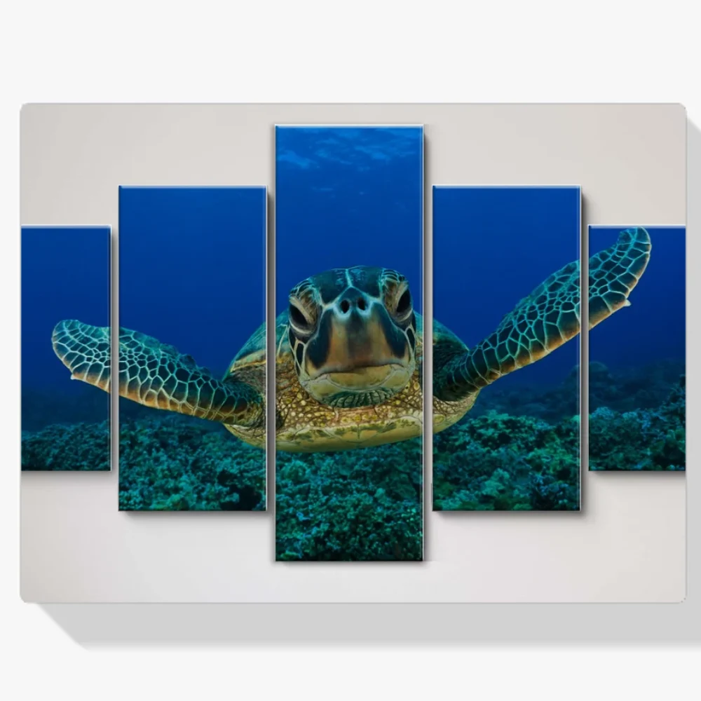 Pintura Diamante - Tortuga en el mar 5 paneles