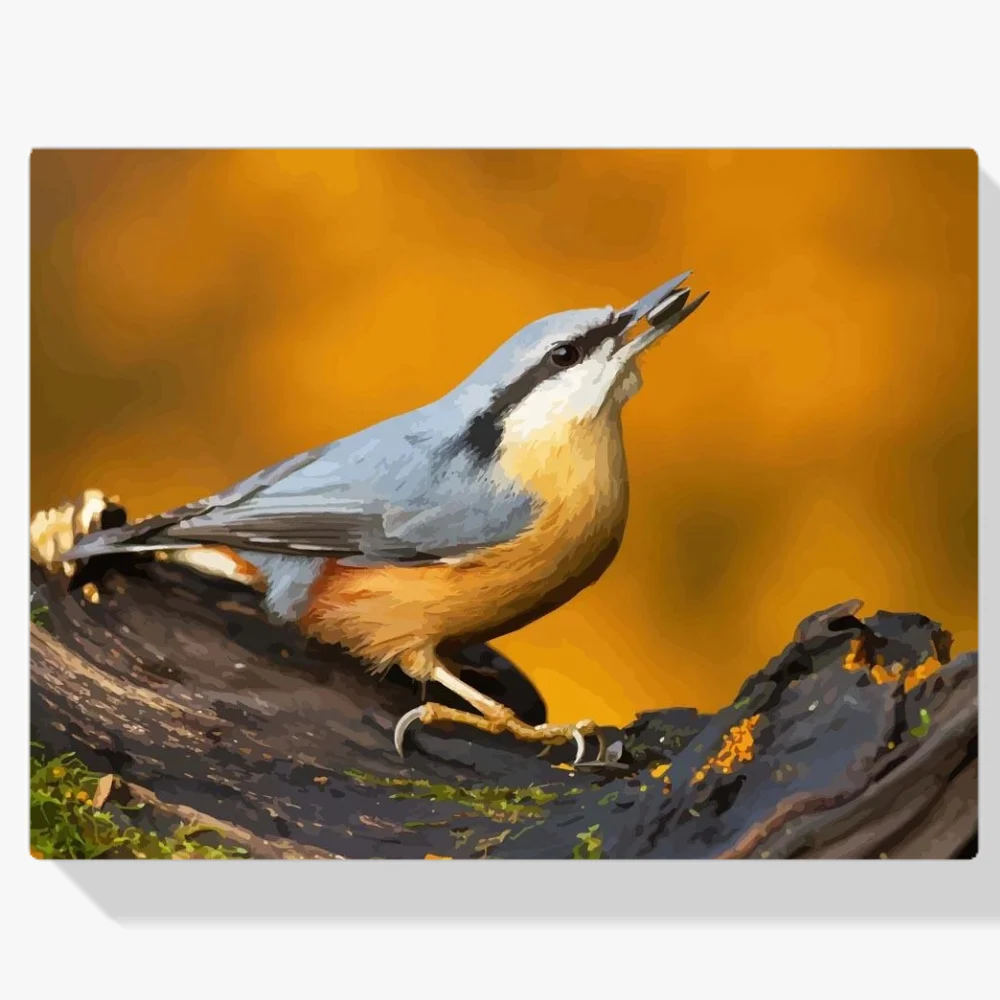 Pintura Diamante - Trepador azul en la rama