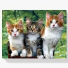 Pintura Diamante - Tres gatos