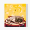 Pintura Diamante - Un gato soñando con un pez
