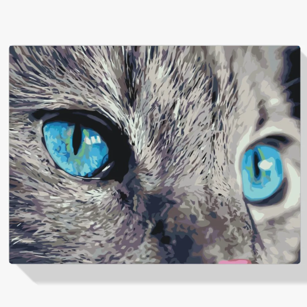 Pintura Diamante - Una mirada penetrante