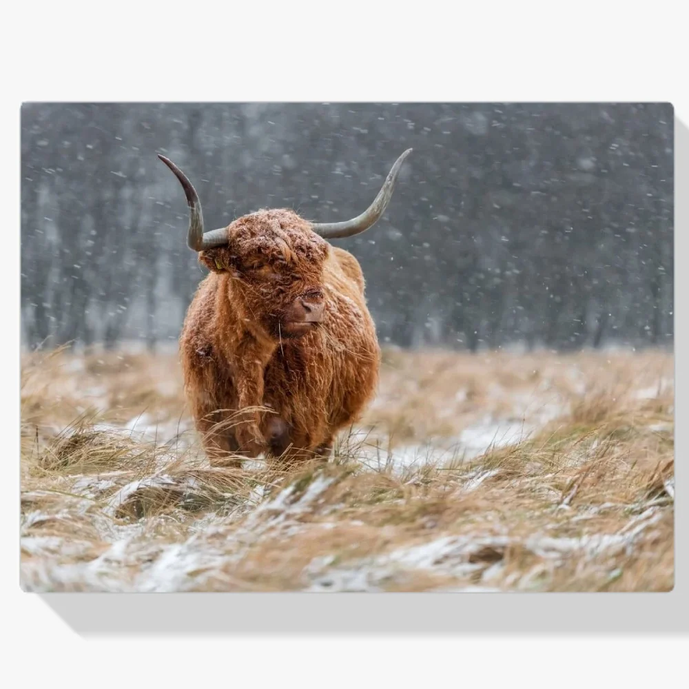 Pintura Diamante - Vaca montañesa en un campo de invierno