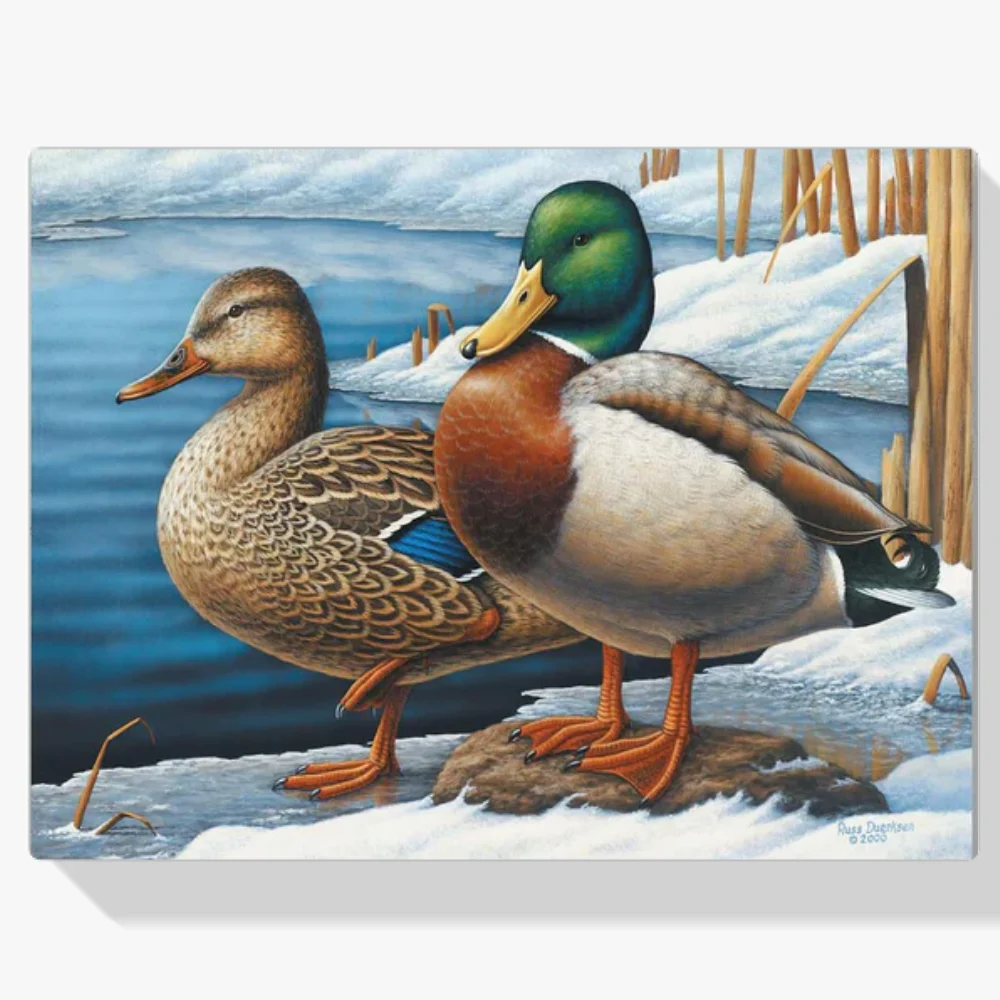 Pintura Diamante - Visitantes de invierno