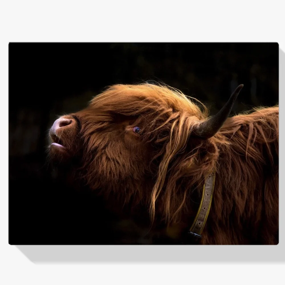 Pintura Diamante - Vista lateral especial de un montañés escocés