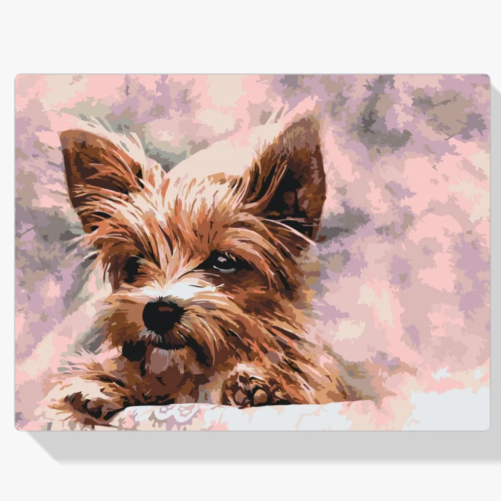 Pintura Diamante - Yorkshire