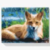 Pintura Diamante - Zorro