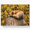 Pintura Diamante - Zorro descansando en el tronco de un árbol